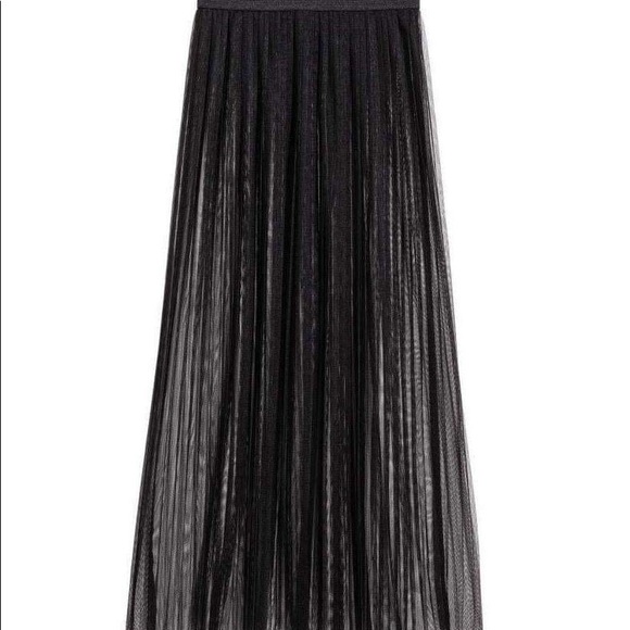 H&M Pleated Mesh Skirt, NWT, Size 4 - Picture 2 of 5
